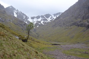 Links im Bild ist ein einsamer Baum zu sehen, der an der Seite des Tals steht. Im Hintergrund sind in weiter Ferne mit Schnee bedeckte Berge zu sehen, aus denen sich ein Fluss zum Ende des Tals schlängelt.